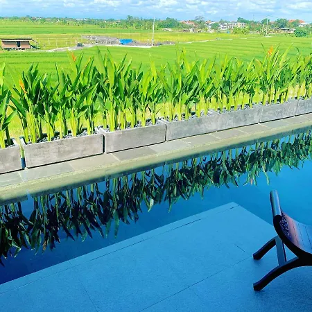 Villa Casa Sarasvati